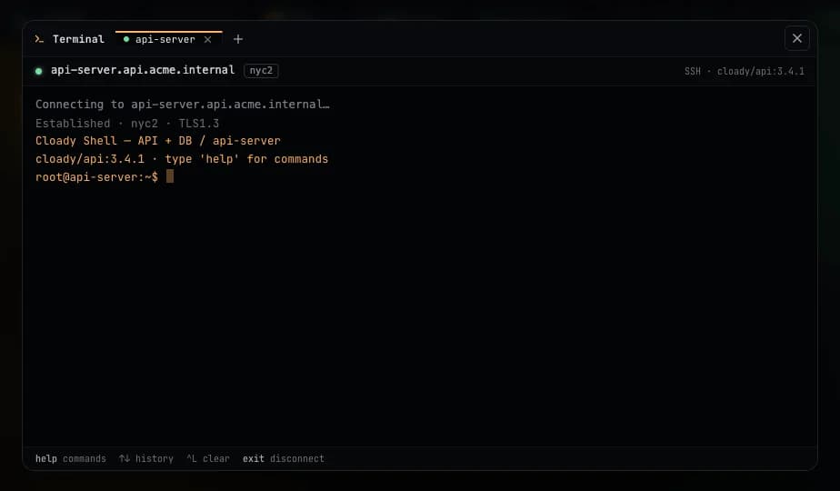 Cloady Terminal · shell into api-server